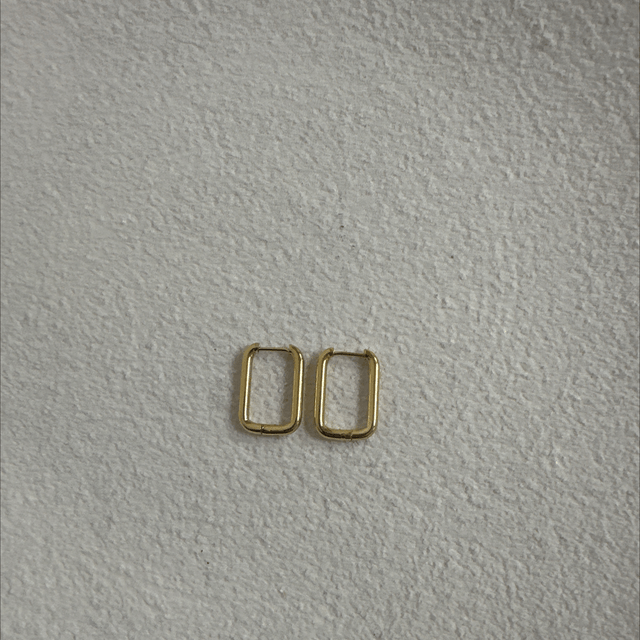 BOUCLES D’OREILLES DESLUMBRANTE 