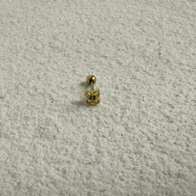 PIERCING D’OREILLE DESLUMBRANTE 