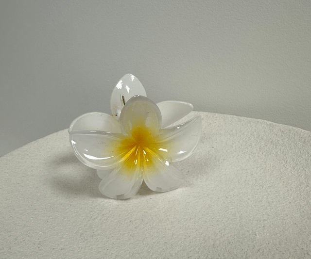 PINCE À CHEVEUX FLOR