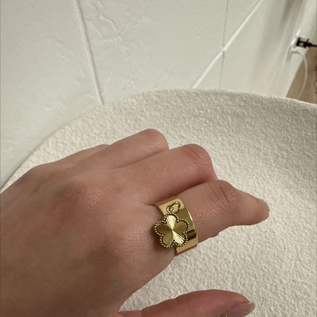 BAGUE DESLUMBRANTE 