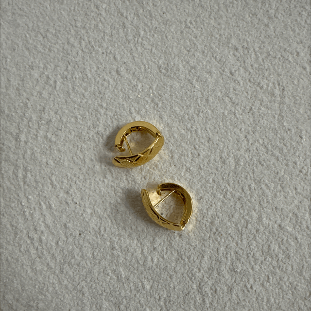 BOUCLES D’OREILLES DESLUMBRANTE 