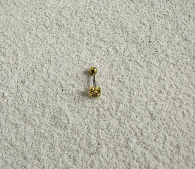 PIERCING D’OREILLE DESLUMBRANTE 