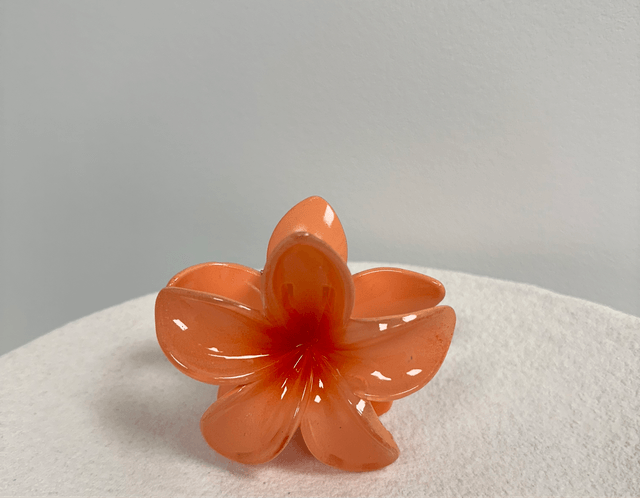 PINCE À CHEVEUX FLOR