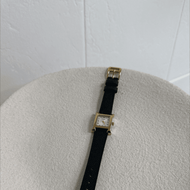 MONTRE DO DIA 