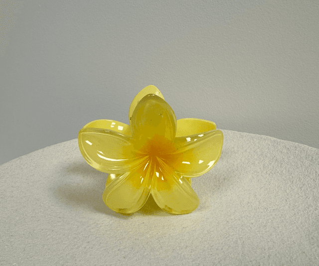 PINCE À CHEVEUX FLOR
